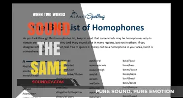 Exploring Words That Sound the Same