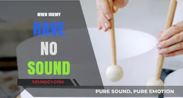Troubleshooting Udemy: Quick Fixes for Courses with No Sound