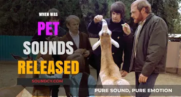 Pet Sounds Release Date: A Musical Revolution Unveiled in 1966