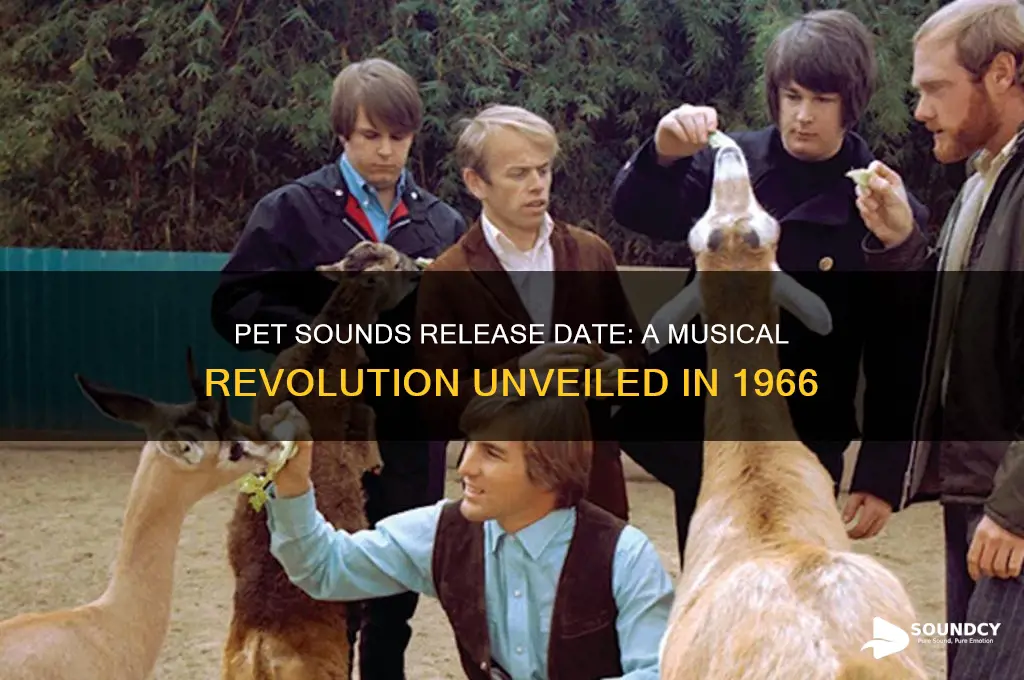 when was pet sounds released
