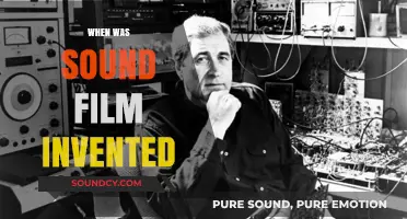 The Birth of Sound Film: A Cinematic Revolution Unveiled