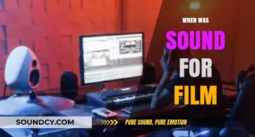 The Evolution of Cinematic Sound: When Movies Found Their Voice