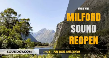 Milford Sound Reopening: Updates and What Travelers Need to Know
