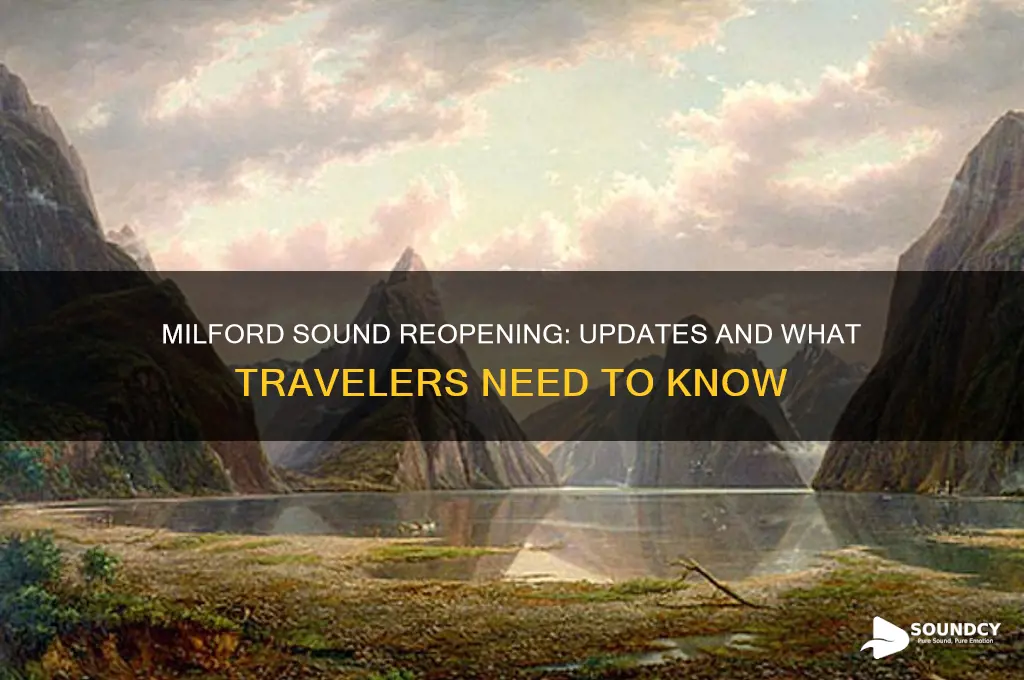 when will milford sound reopen