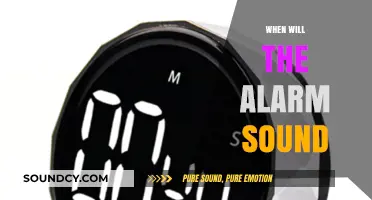 When Will the Alarm Sound: Unraveling the Mystery of Timely Alerts