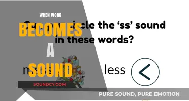 When Words Transform: Exploring the Sonic Evolution of Language and Sound