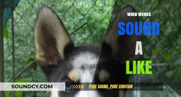 Homophones and Sound-Alikes: Unraveling Words That Sound Identical but Differ