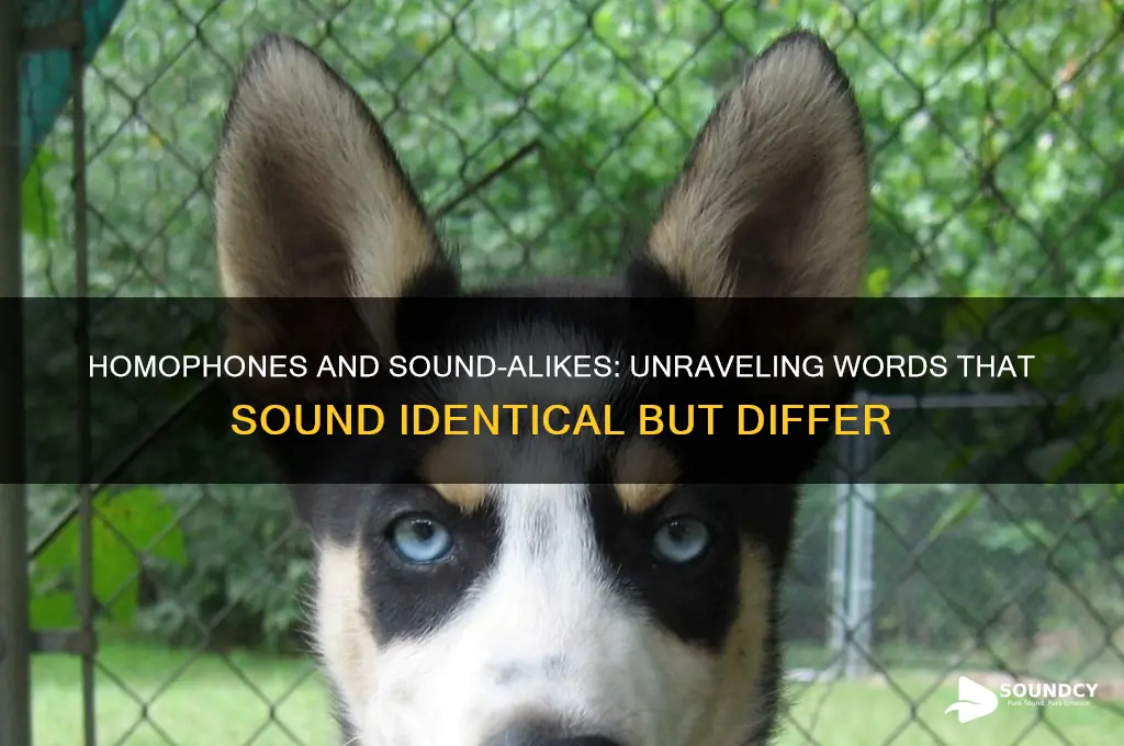 when words sound a like