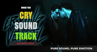 Melodies for Tears: The Ultimate When You Cry Sound Track