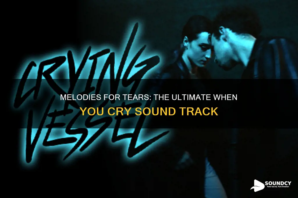 when you cry sound track