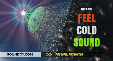 Chilling Sensations: Exploring the Science Behind Feeling Cold Through Sound