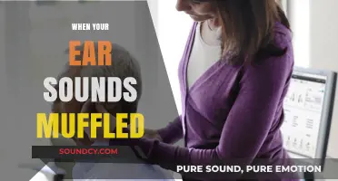 Muffled Ear Sounds: Causes, Remedies, and When to Seek Help