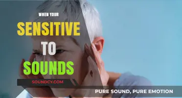 Navigating a Noisy World: Understanding and Coping with Sound Sensitivity
