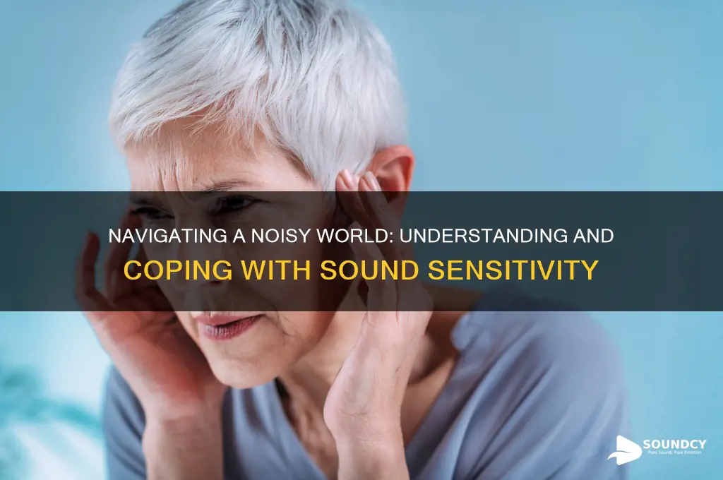 when your sensitive to sounds
