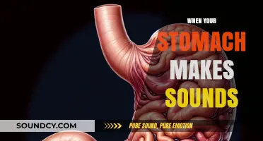 Why Your Stomach Growls: Understanding the Noises Your Belly Makes