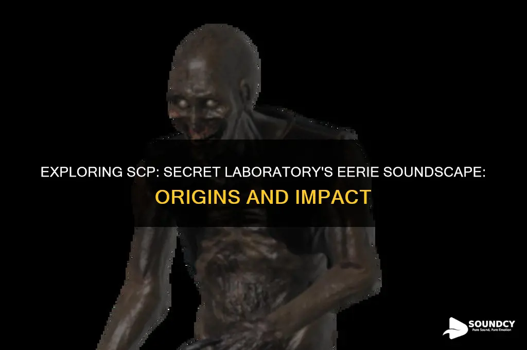 where all scp sl sounds