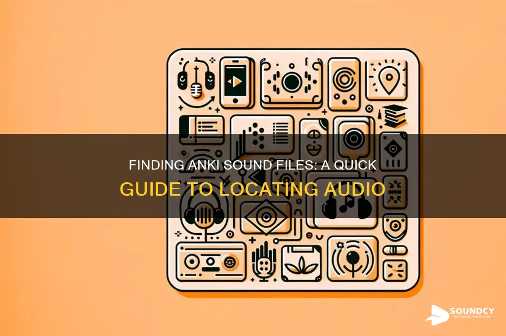 where are anki sound files