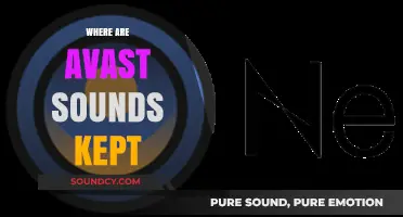 Where Avast Sounds Reside: Locating Your Antivirus Audio Files