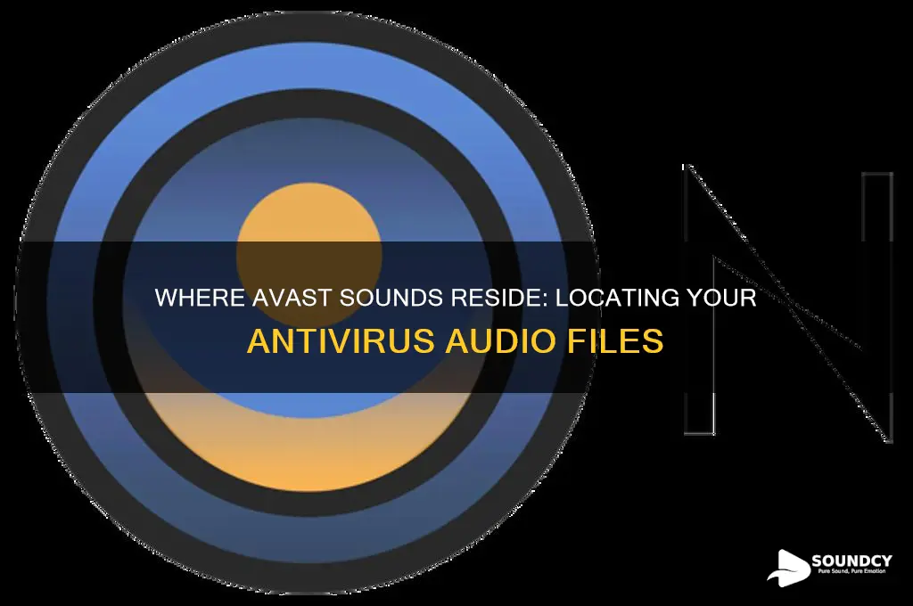where are avast sounds kept