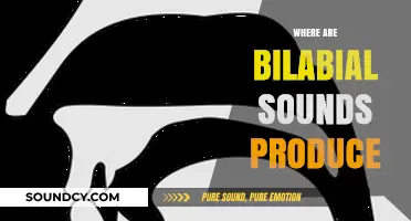 Understanding Bilabial Sounds: Production Location and Articulatory Mechanics Explained