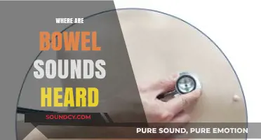 Where Are Bowel Sounds Heard: A Comprehensive Guide to Auscultation