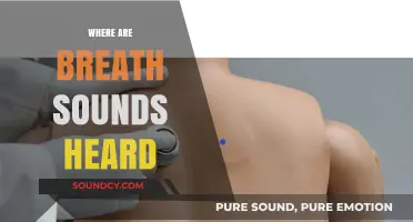 Where Are Breath Sounds Heard: A Comprehensive Guide to Auscultation