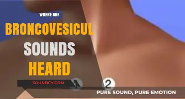 Bronchovesicular Breath Sounds: Locations and Clinical Significance Explained