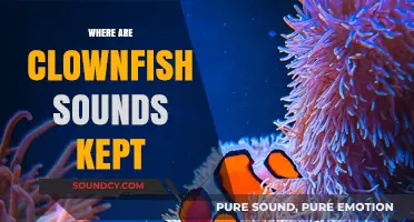 Unveiling the Secret Archives of Clownfish Sounds: A Deep Dive