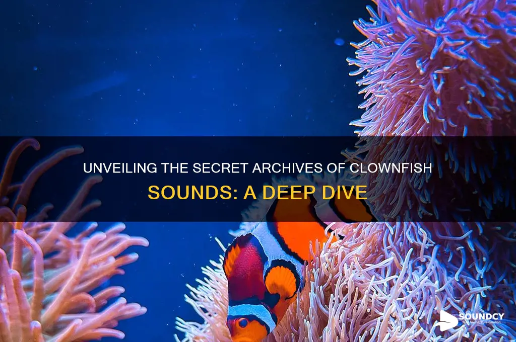 where are clownfish sounds kept