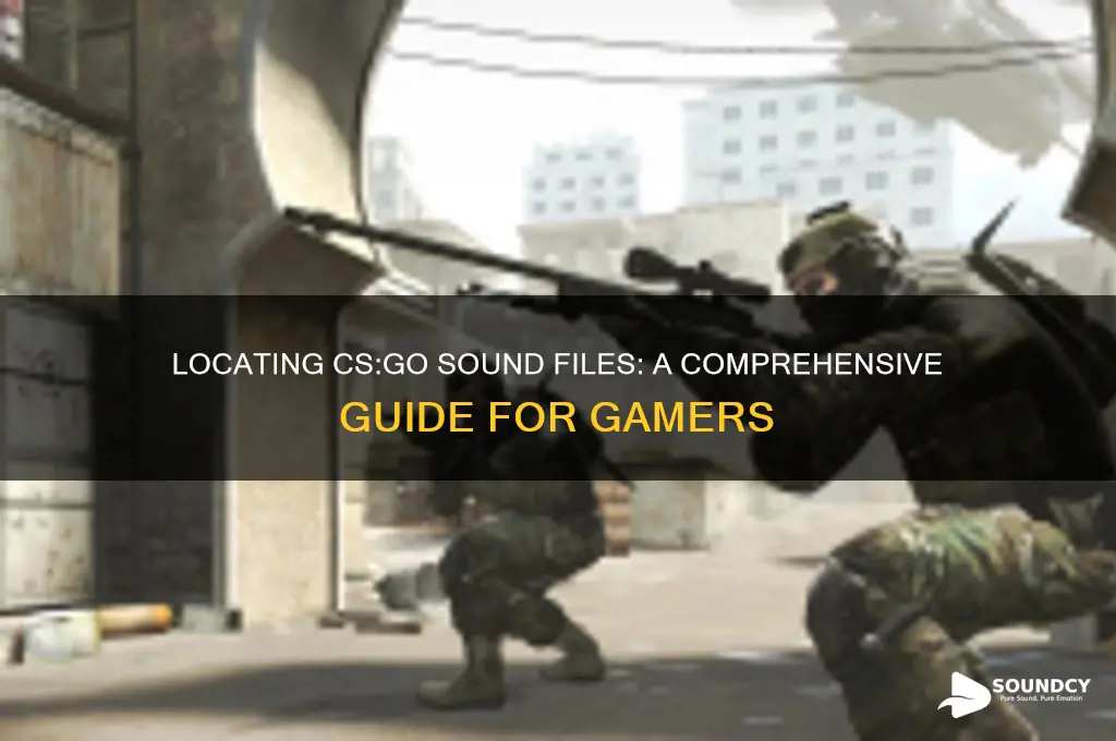 where are csgo sound files