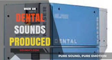Understanding Dental Sounds: Their Production Location in the Oral Cavity