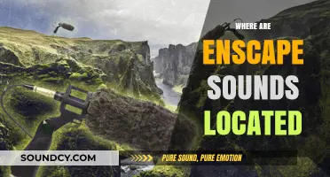 Locating Enscape Sounds: A Comprehensive Guide to Their Storage