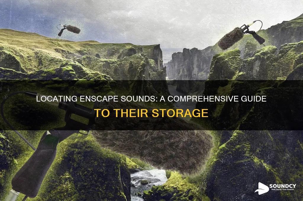 where are enscape sounds located