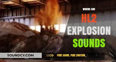 Uncovering the Source of Half-Life 2's Iconic Explosion Sound Effects