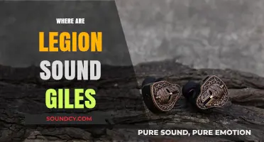 Unveiling the Mystery: Where Are Legion Sound Giles Now?