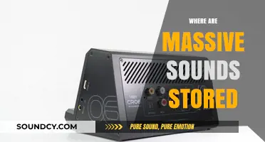 Unveiling the Digital Vaults: Where Massive Sounds Are Stored