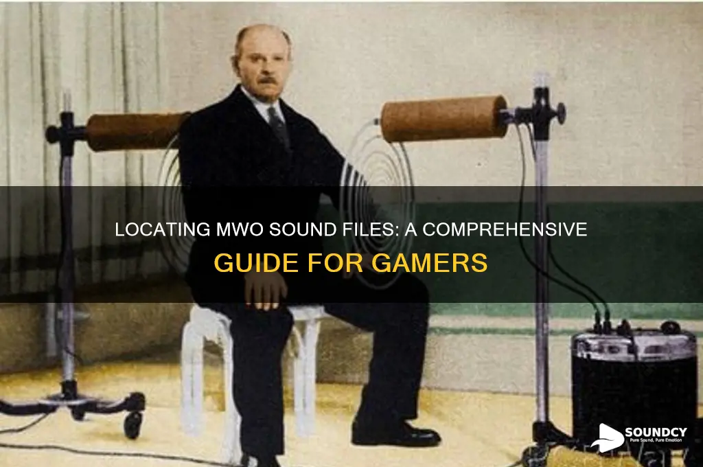 where are mwo sound files