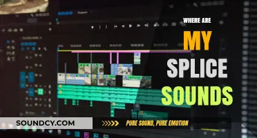 Where Are My Splice Sounds? Locating Your Missing Audio Files