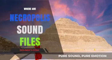 Uncovering the Lost Necropolis Sound Files: A Quest for Audio History