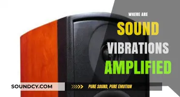 Amplifying Sound Vibrations: Exploring the Science Behind Acoustic Enhancement