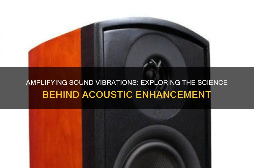 where are sound vibrations amplified