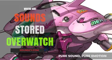 Overwatch Sound Storage: Unveiling the Hidden Location of In-Game Audio