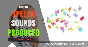 Understanding Speech Production: Where and How Sounds Are Created in the Body