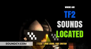 Uncovering TF2's Audio Files: Locating the Game's Sound Directory