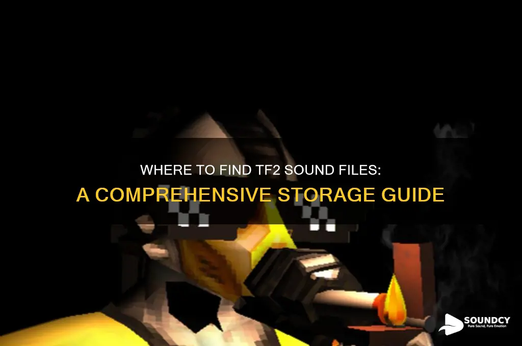 where are tf2 sounds stored