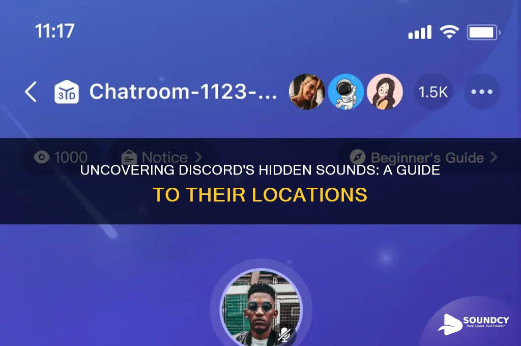 where are the discrod sounds