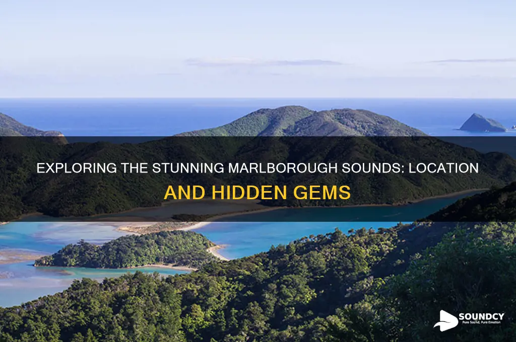 where are the marlborough sounds