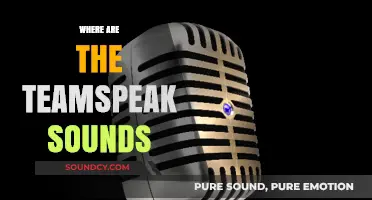 Locating TeamSpeak Sounds: A Guide to Finding Missing Audio Files