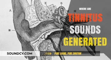 Unraveling Tinnitus: Where Do Those Phantom Sounds Originate?