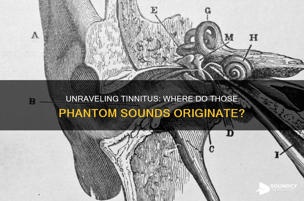 where are tinnitus sounds generated